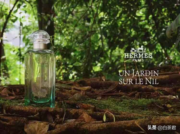 女生第一瓶香水推荐,女生第一个香水怎么选