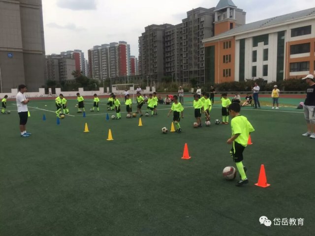 山东省政府表扬泰山俱乐部,泰安岱岳区校园足球