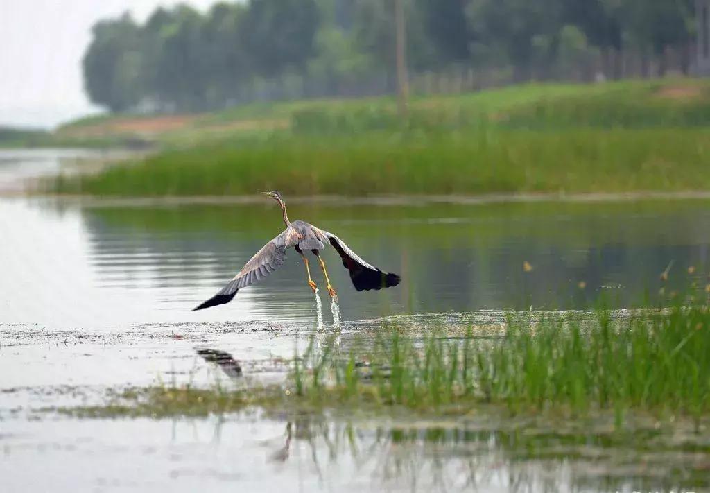 中国十大湖泊最美景点,十大风景最美的湖泊排行榜