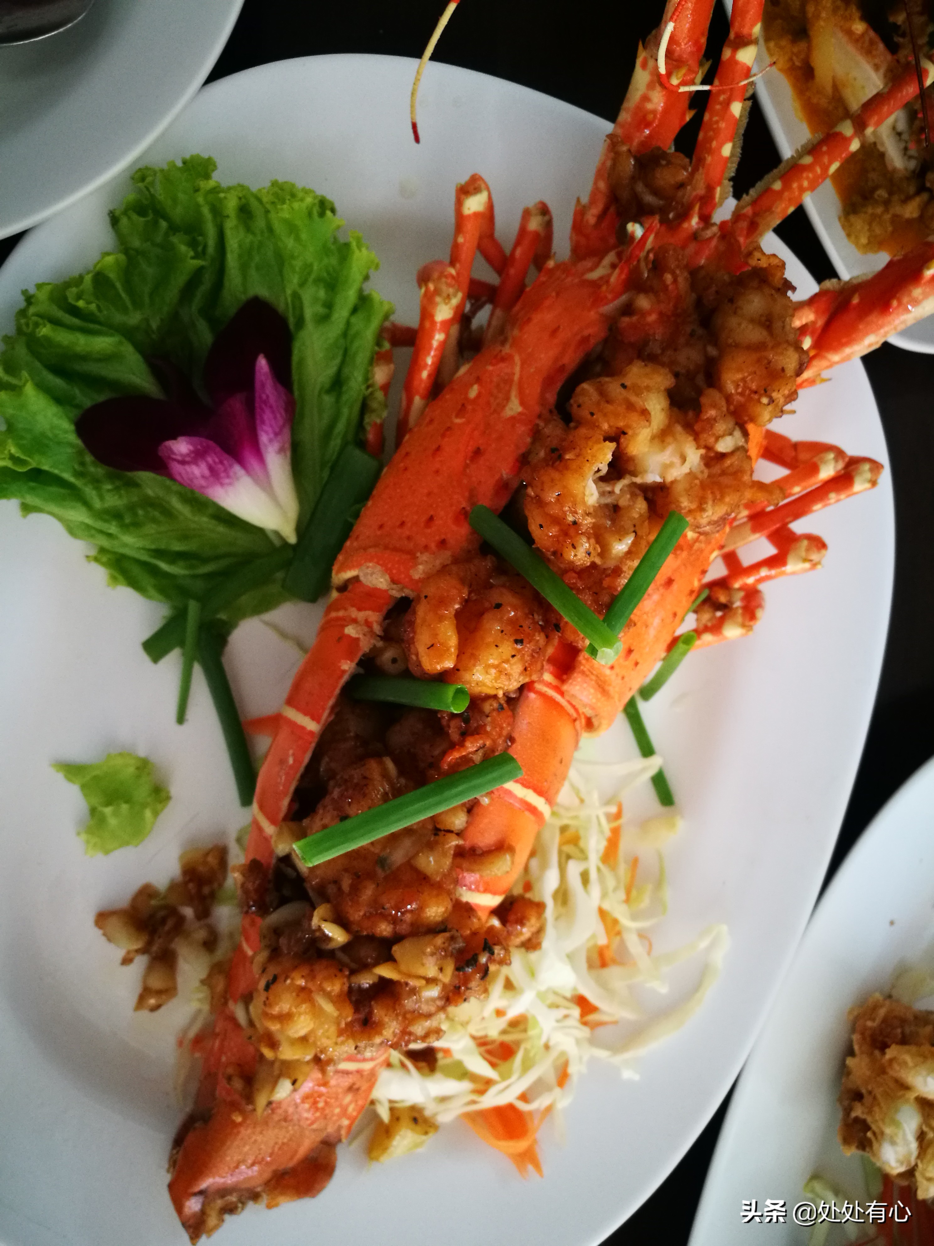 刚到泰国旅游注意事项,刚从泰国回来马上又办理旅游签证