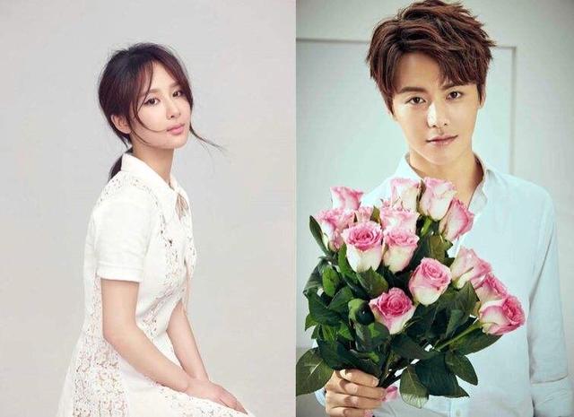 陆贞传奇杨紫戏多吗,杨紫新剧《承欢记》收视率