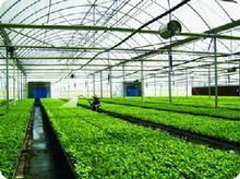 生态农业的原理意义,梅州市物联网生态农业特点