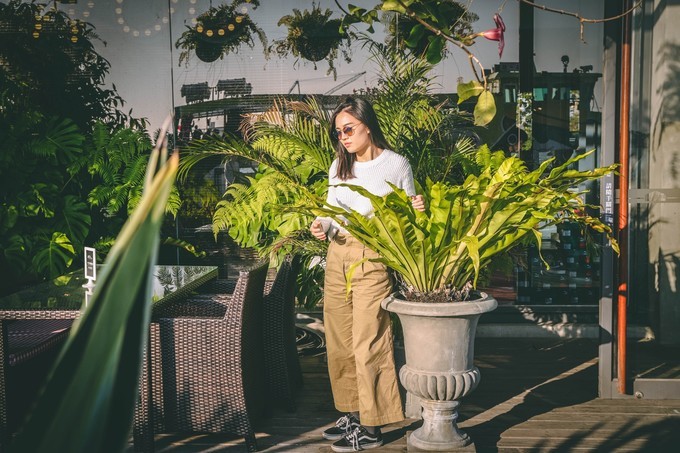 台湾环岛全攻略,台湾深度游玩攻略