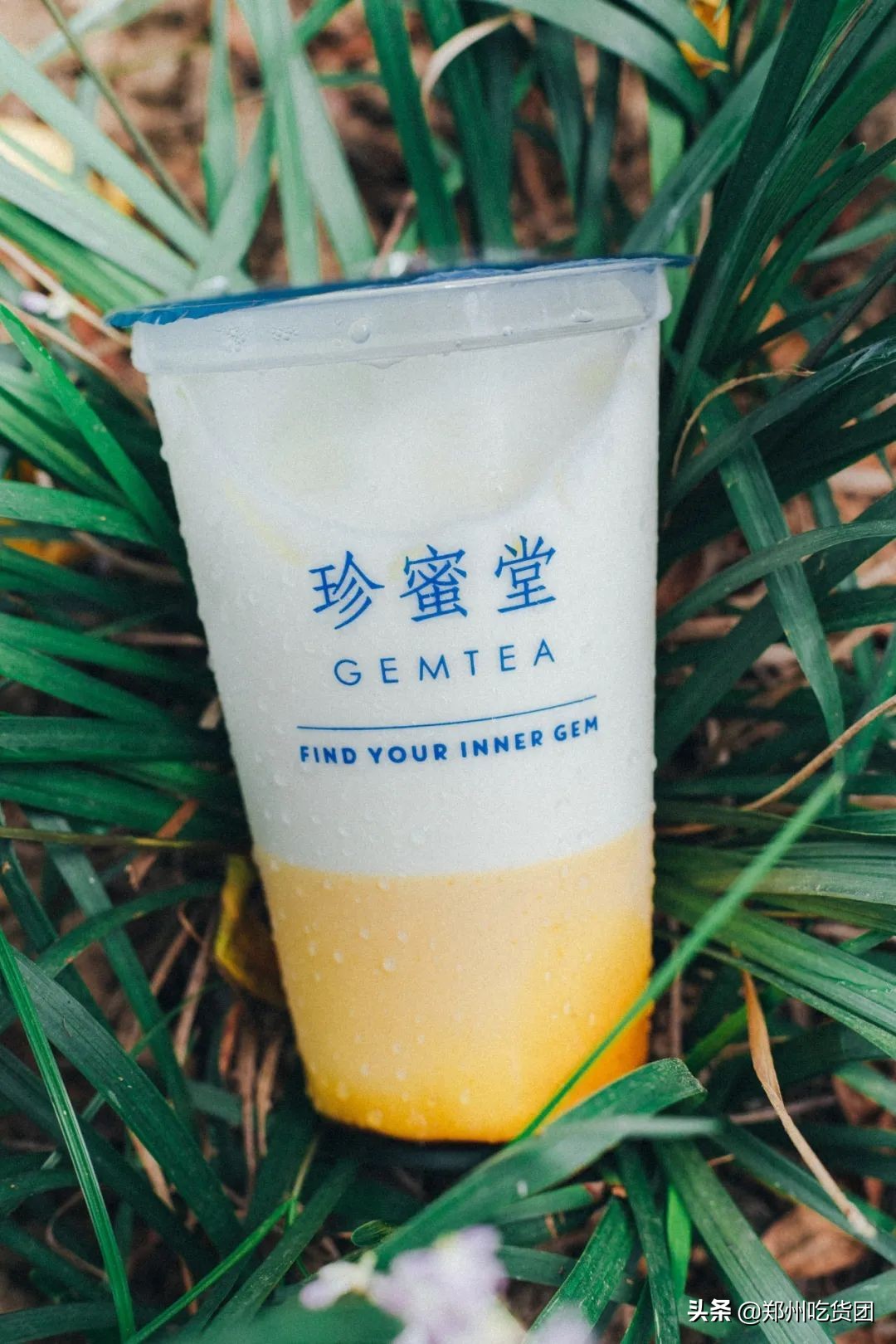 发光奶茶,发光变色奶茶