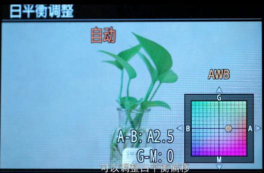 索尼微单拍日出的参数设置,索尼微单创意风格人像参数