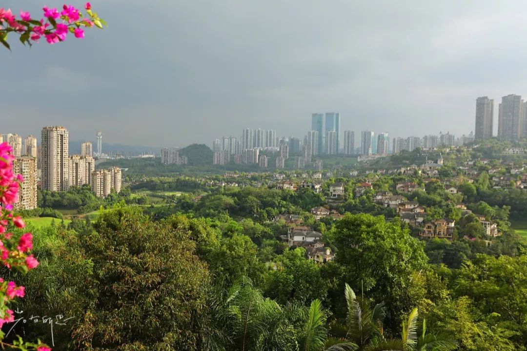 这是大多数人不知道的重庆。一场治愈系度假，解锁一个隐世花园