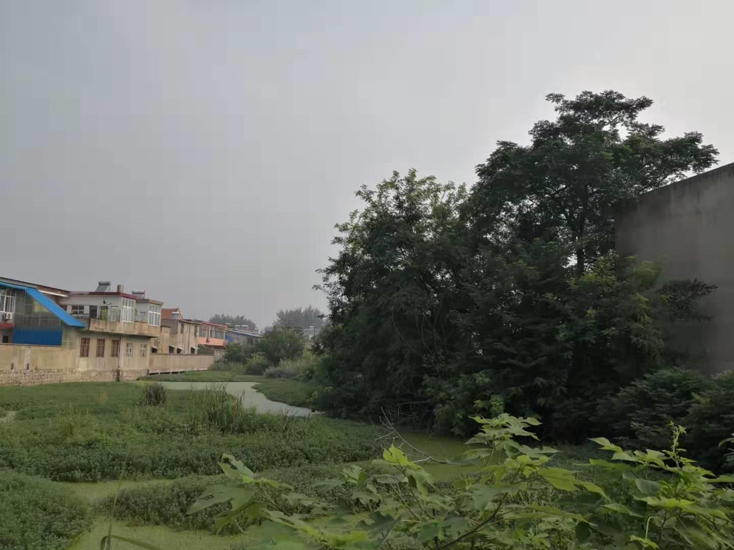 邳州古镇天气预报,邳州古镇宿羊山