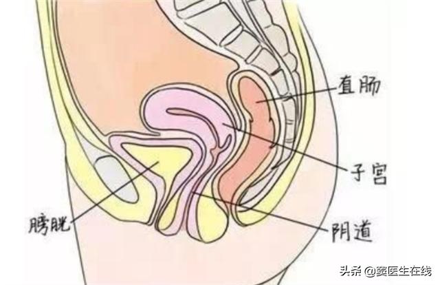 女人长时间泡在暴雨中，污水会感染阴道吗？如何正确清洗？