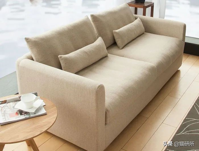 怎么惩罚猫咪挠沙发,猫咪不会挠坏的沙发