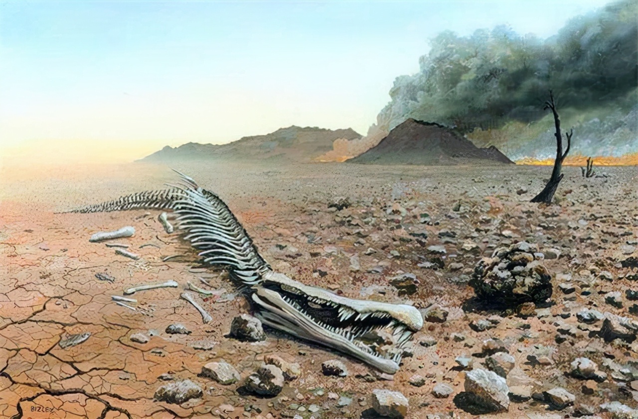 导致第6次生物大灭绝的原因,第6次生物大灭绝人类会消失吗