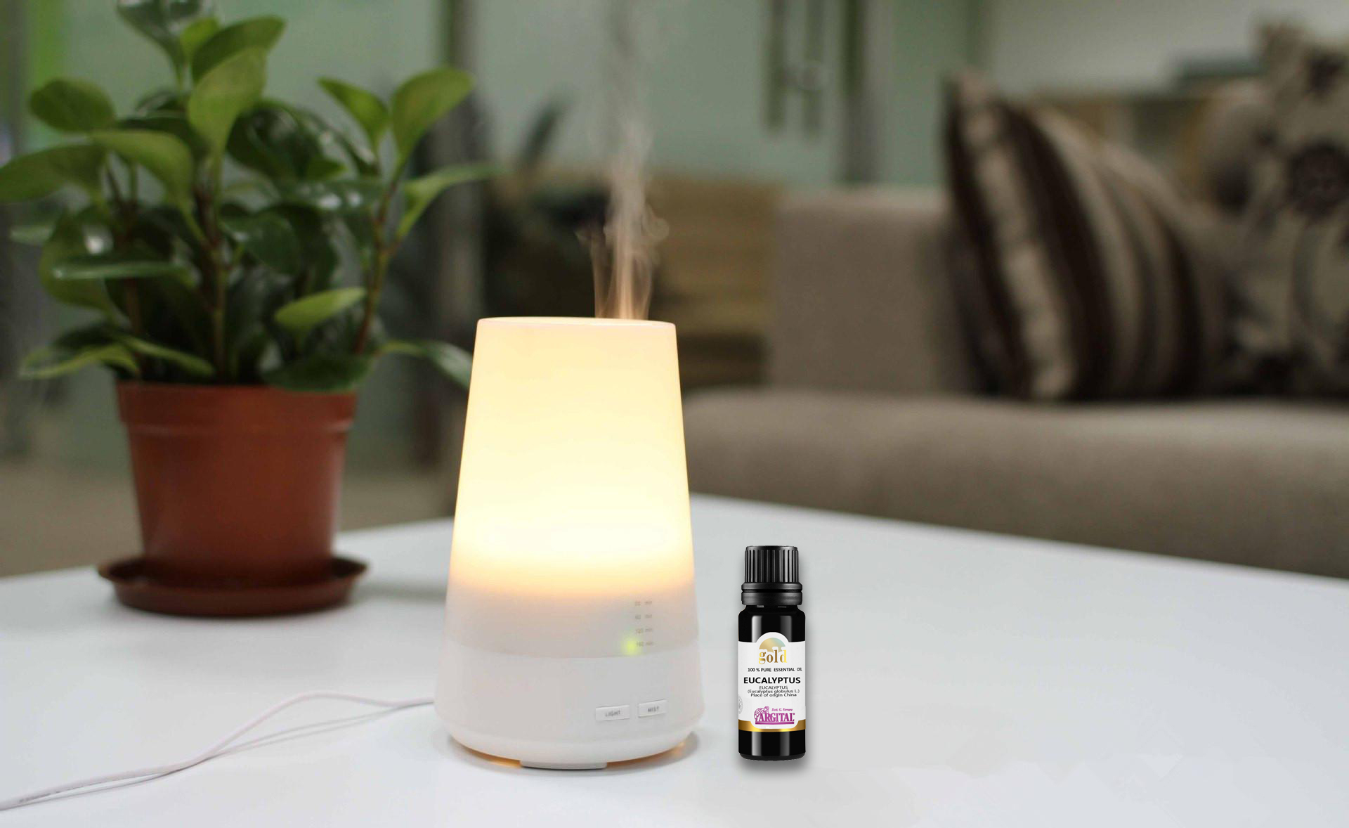 杀菌最好的精油尤加利,尤加利精油搭配