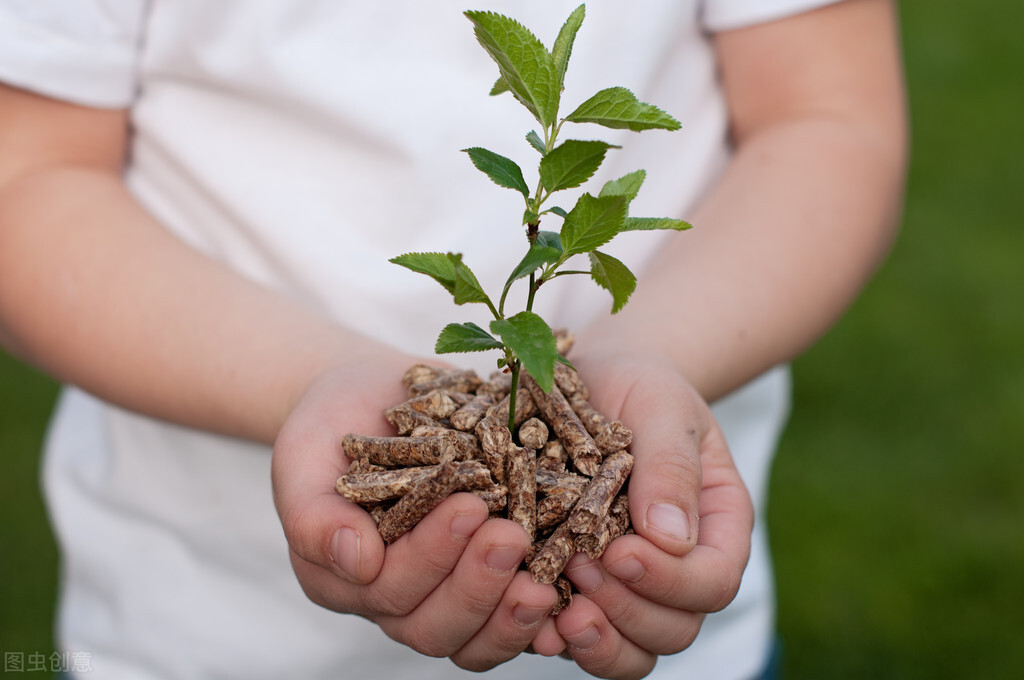 甘草片价格便宜效果好,甘草片副作用和止咳效果