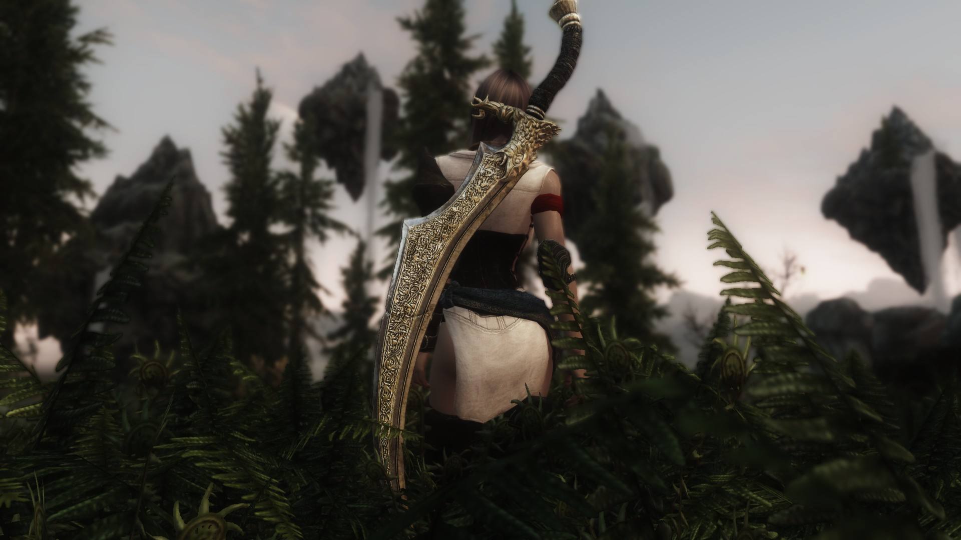 上古卷轴5为什么玩不进去,上古卷轴5为什么叫老滚5