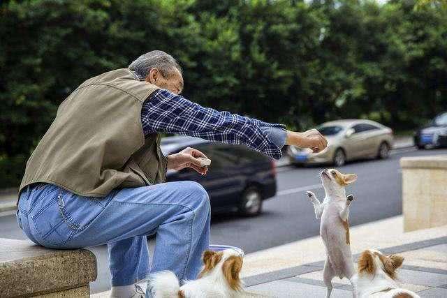 选择丁克还是自己赚钱养老,丁克家庭的养老方式是什么