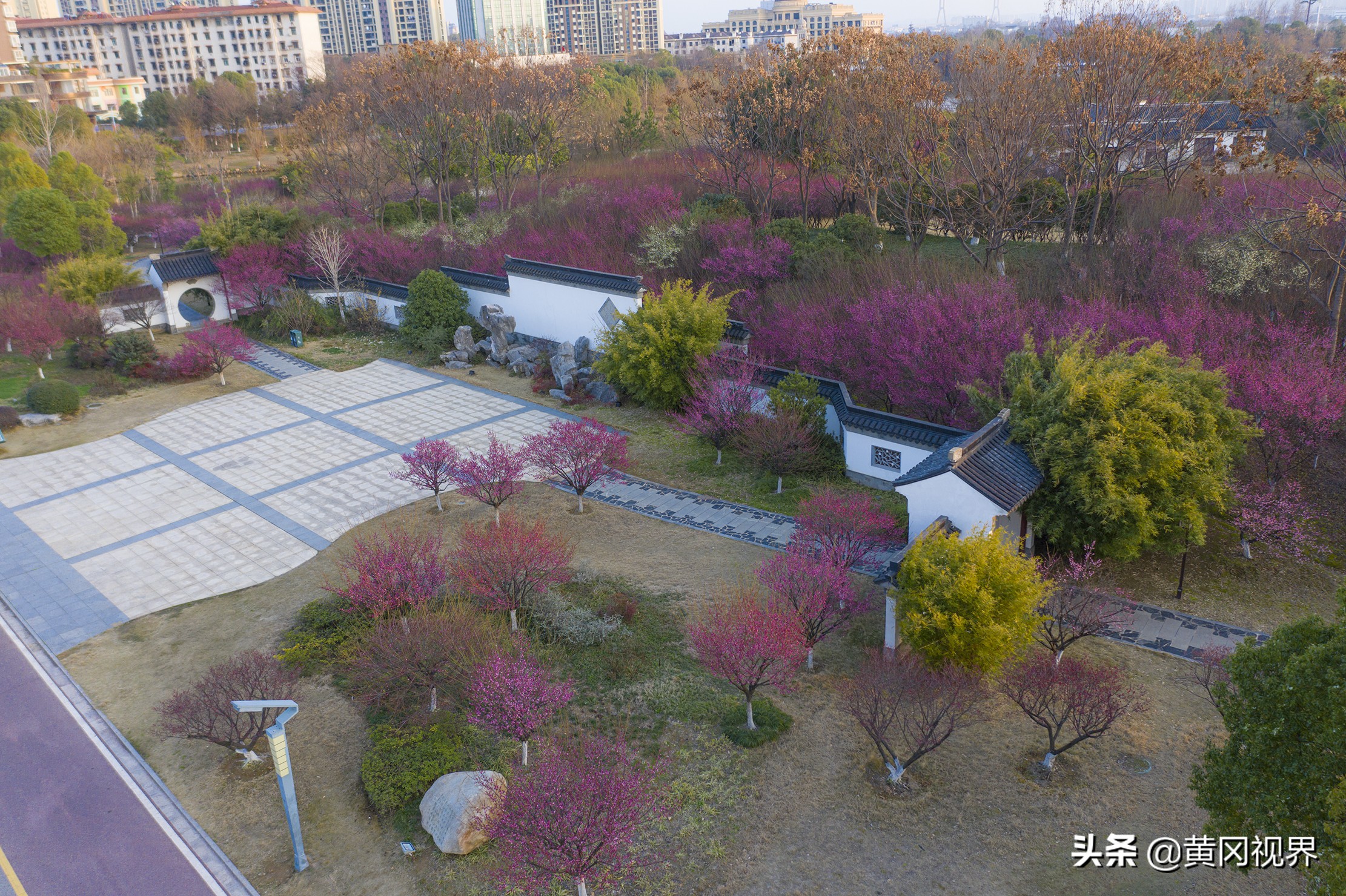 疫战日常,疫期日常