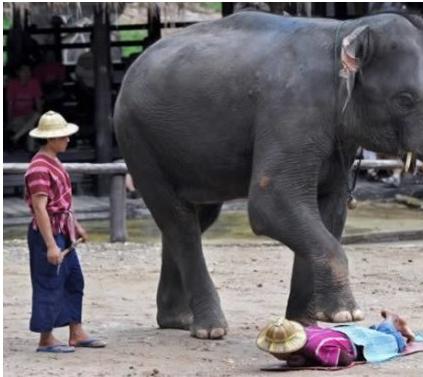 你绝对没有体验过的项目,你绝对没见过的神奇操作