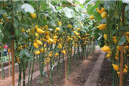 足球励志精辟感言,足球哲理与人生思考