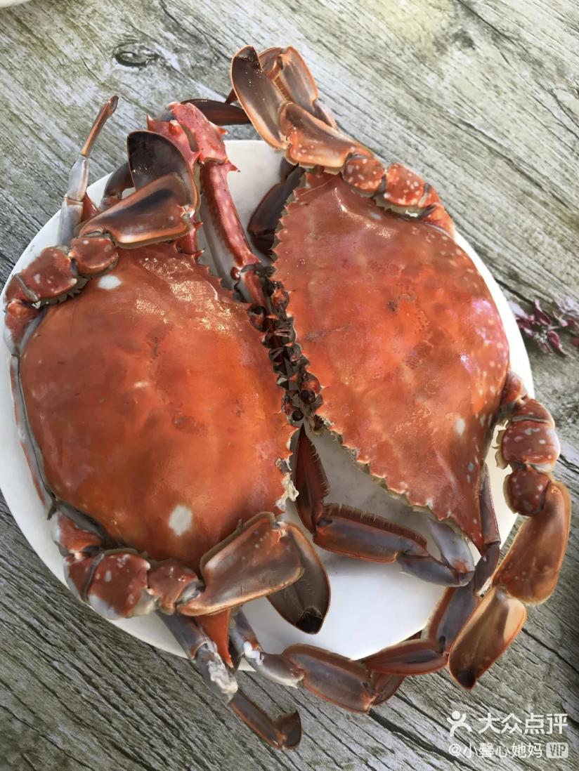 乘风破浪的天津「阿姨美食」，今日开播