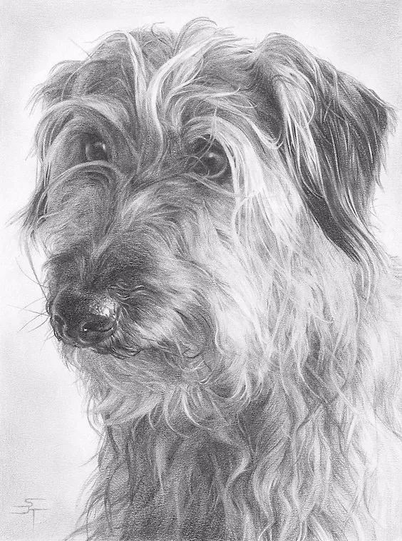 绱犳弿鍏ラ棬鍔ㄧ墿,绱犳弿鍔ㄧ墿瑙ｆ瀽