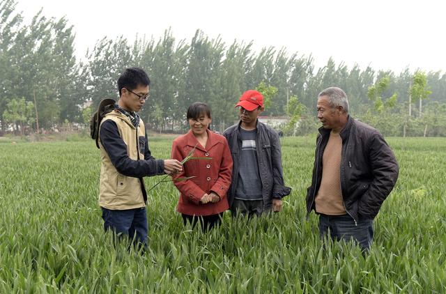 河南农村老伯埋怨自己“话太多，管太宽”害得儿子离了婚，咋回事