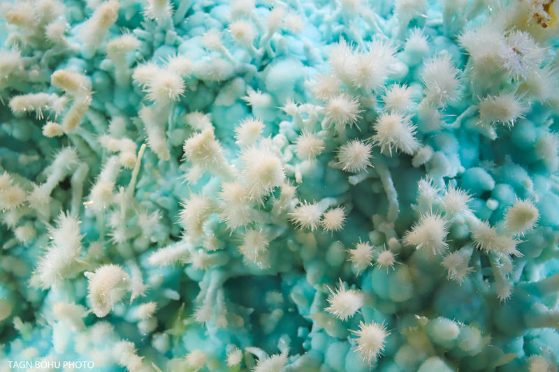 衢州飞越丛林探险乐园,浙江衢州深山