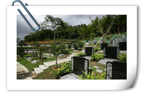 做生意必须懂的常识,如何做生意赚钱的十大方法