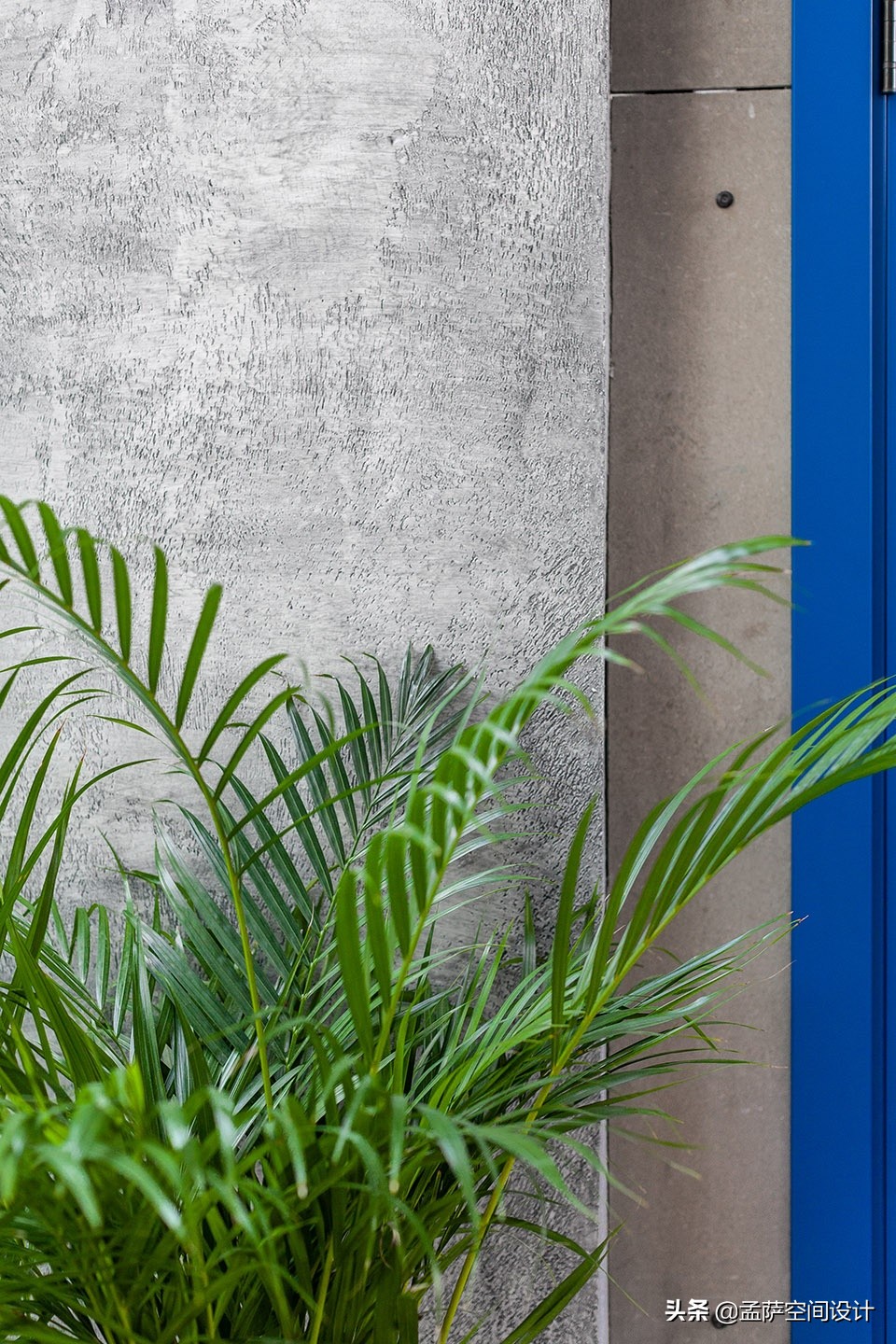 fanfood椁愬巺,鑾柉绉戞剰澶у埄椁愬巺鎺ㄨ崘