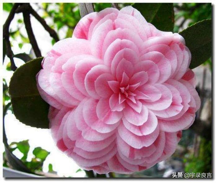 句句入骨的人生感悟个性签名,个性签名人生感悟短句