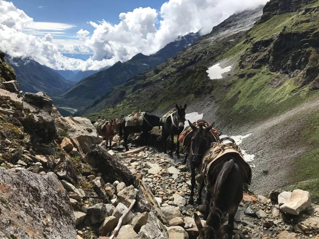中国徒步墨脱第一人,墨脱中国徒步之首