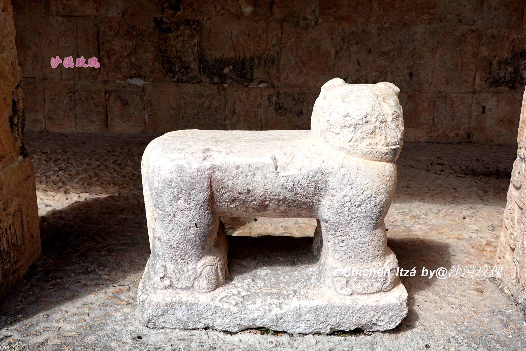 玛雅人大战史蒂夫,玛雅人比赛扔枪