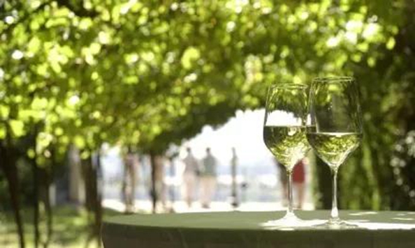 葡萄酒新旧世界的定义,葡萄酒新旧世界