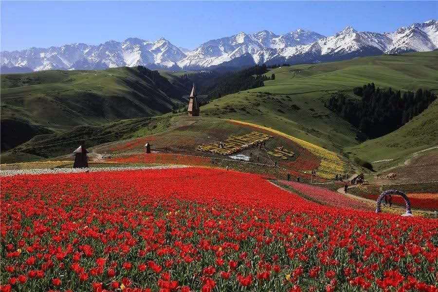 【跋涉边境亲吻祖国】58、奇台:红花似火的边境县…