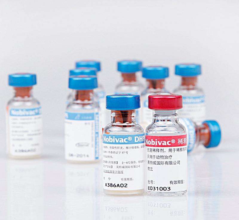 3岁女童注射狂犬疫苗后发热死亡，国内国外宠物疫苗差别有多大？