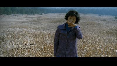 吹《寄生虫》不如吹它