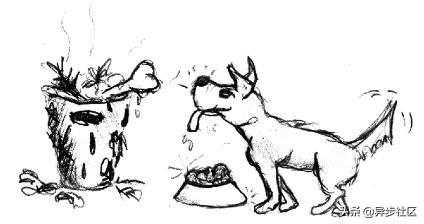 编程命名法,编程10小时