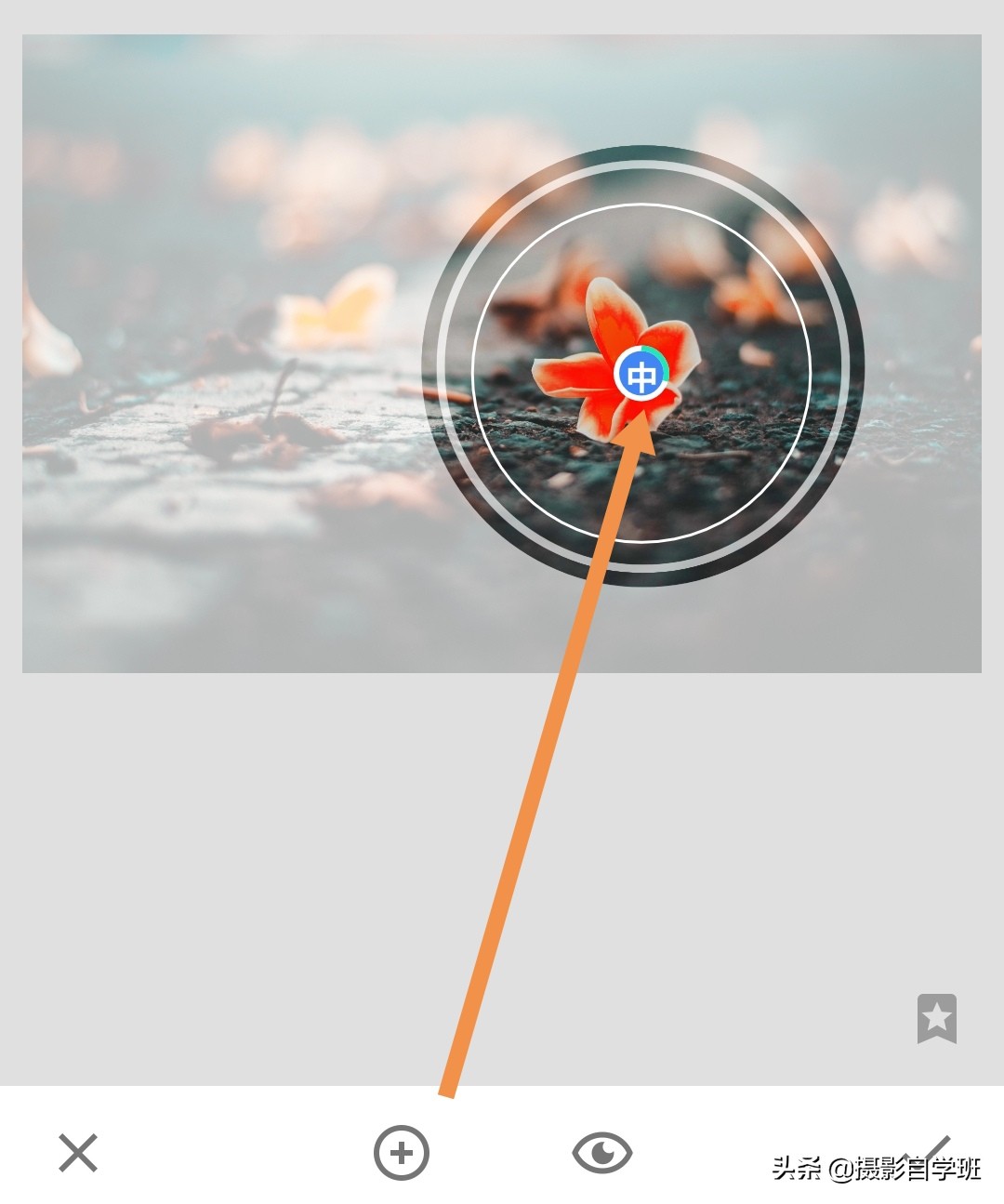 摄影拍出抽象风格照片5个诀窍,照片怎么加虚化