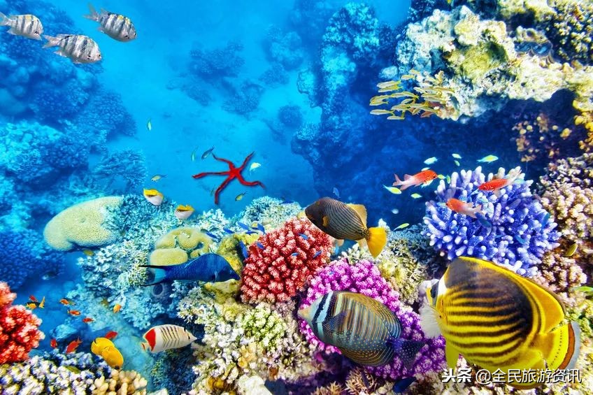 离中国很近的国家,小众冷门旅行地推荐