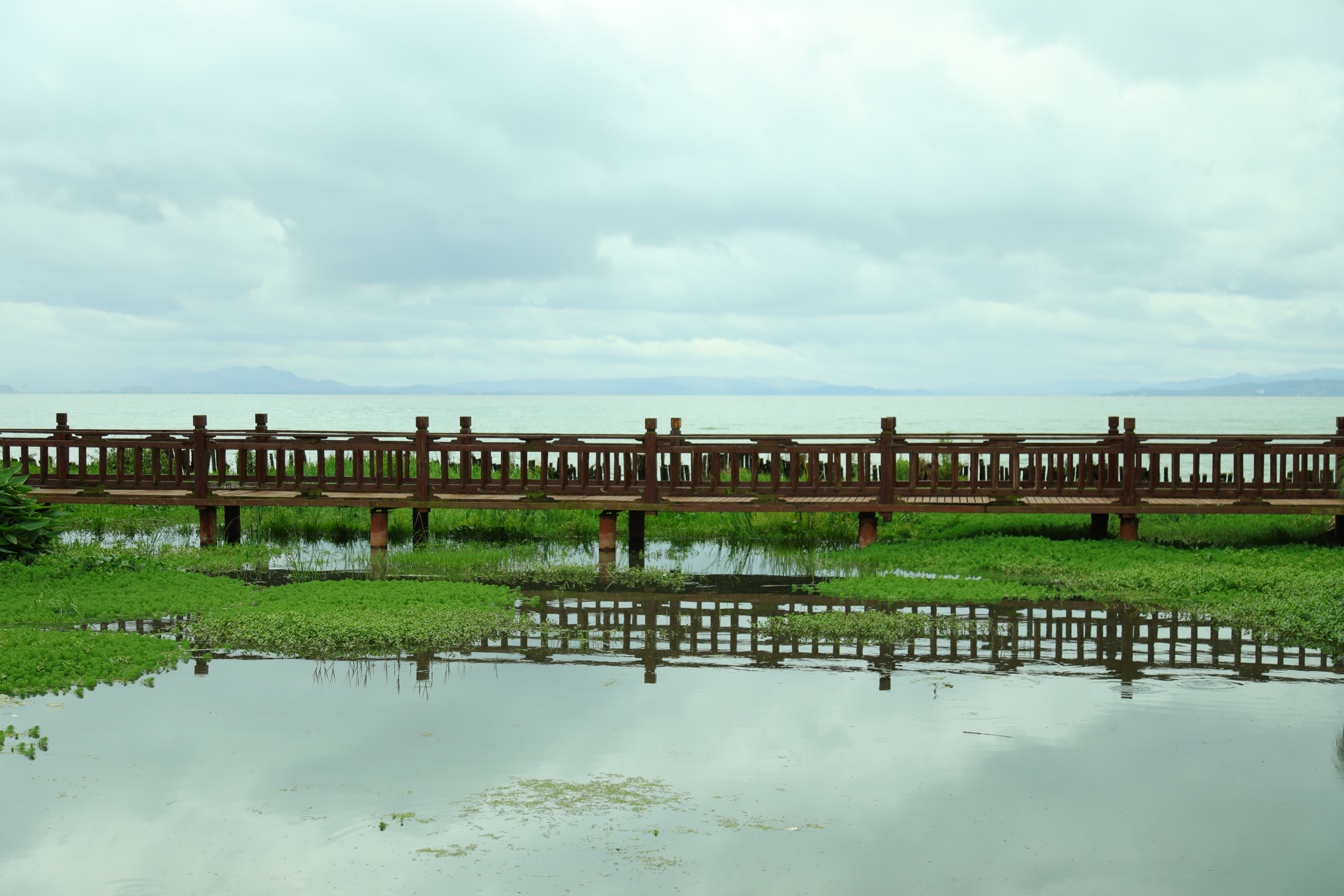 昆明春节一日游攻略,冬季昆明三日游最佳方案