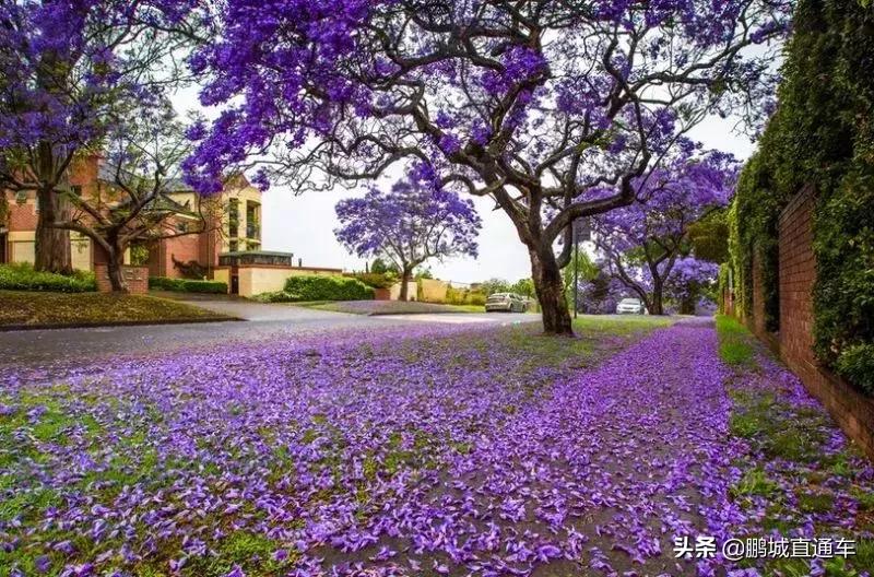 深圳60个最适合一日免费景点,暑假深圳旅游必去十大景点