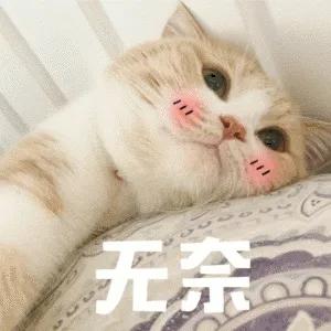 市场部门和经营部门哪个好,市场部属于销售费用吗