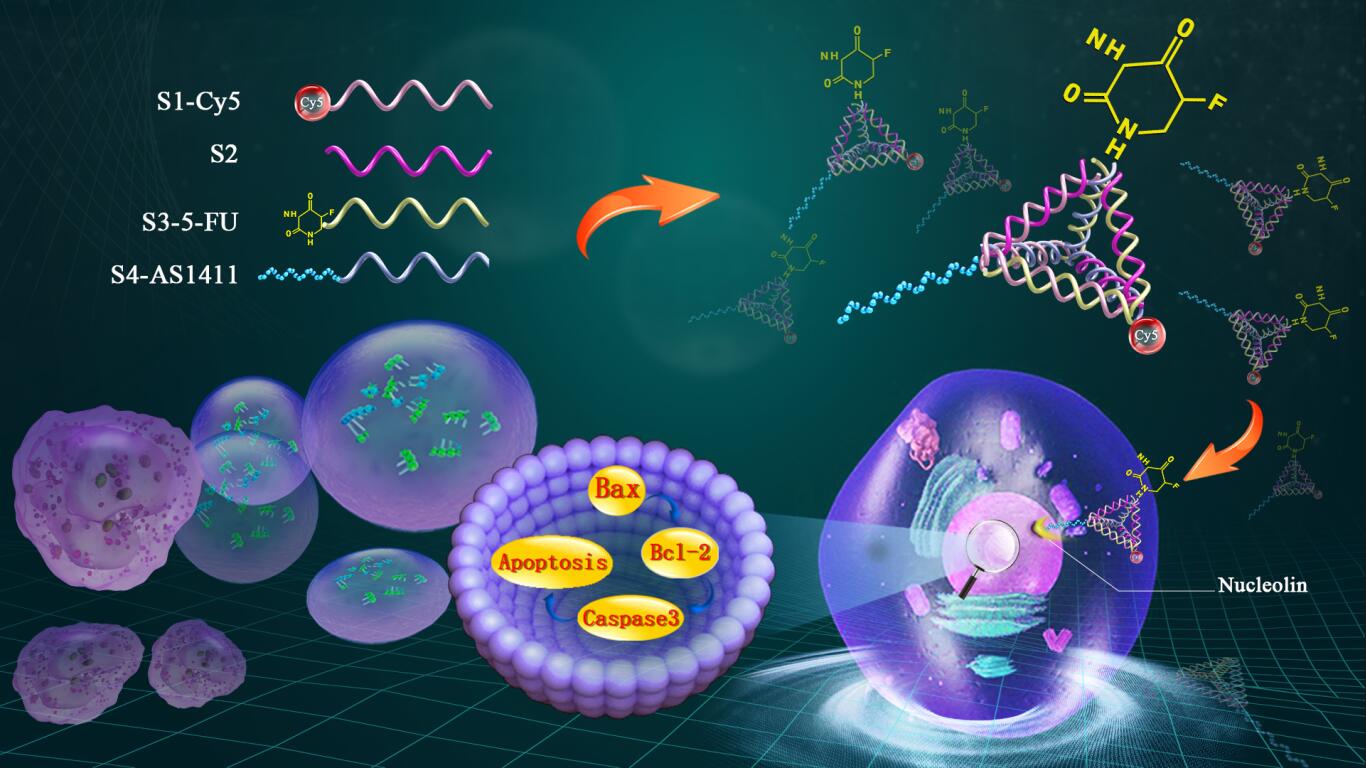 精氨酸缺乏的症状如何补充精氨酸,精氨酸酶缺乏症是什么意思