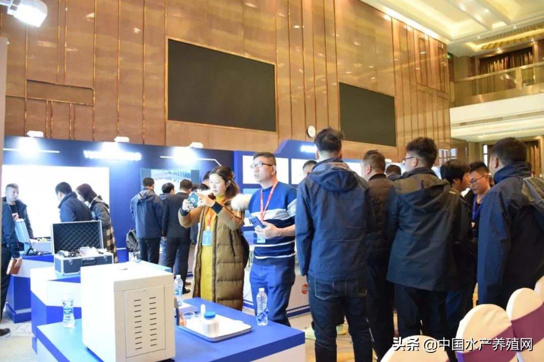 大数据+整体解决方案的新时代，看水世纪如何将智慧渔业水平衡全新指导概念，推动水产养殖业实现再一次飞跃