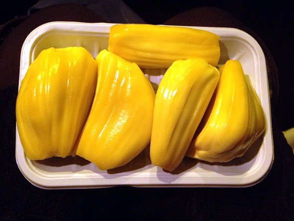 菠萝蜜种植致富项目,菠萝蜜快速种植方法