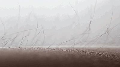 不做猕猴桃女孩是什么意思,不做猕猴桃女孩的图片