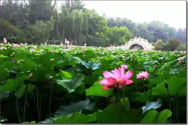 保定市里旅游景点排名第一,保定风景好的旅游景点详细的介绍