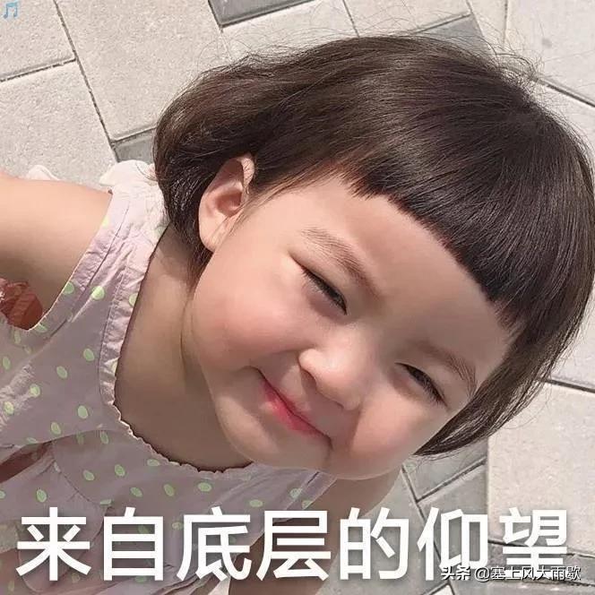 最新笑料合集，哈哈哈哈哈哈哈哈哈哈哈奇怪的知识又增加了