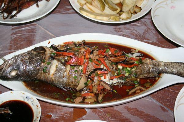 常吃鱼的10种做法,鱼怎么炖好吃又简单的家常做法