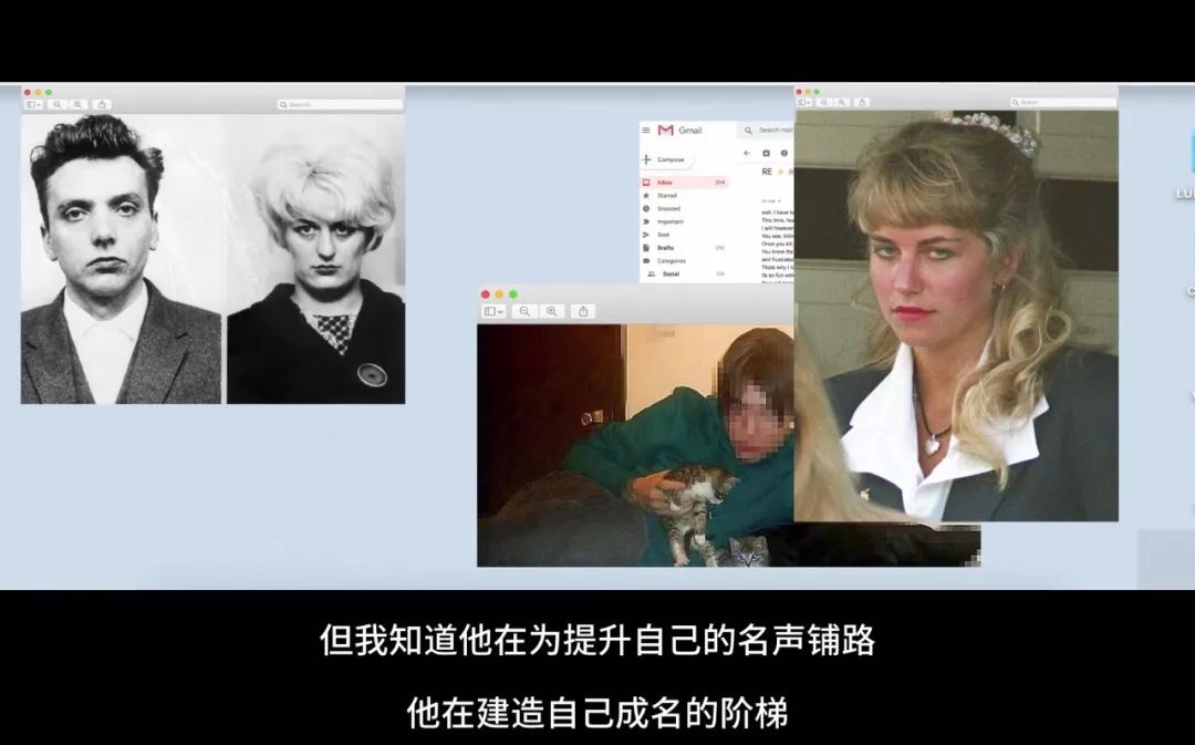 猫咪杀人案真实案例,猫咪被谋杀肢解抛尸案