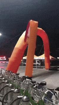 遛狗搞笑图片把主人鞋都追掉,遛狗被猫砸中