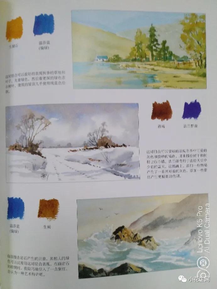 学画四年级上册美术,从零开始学绘画必备的画